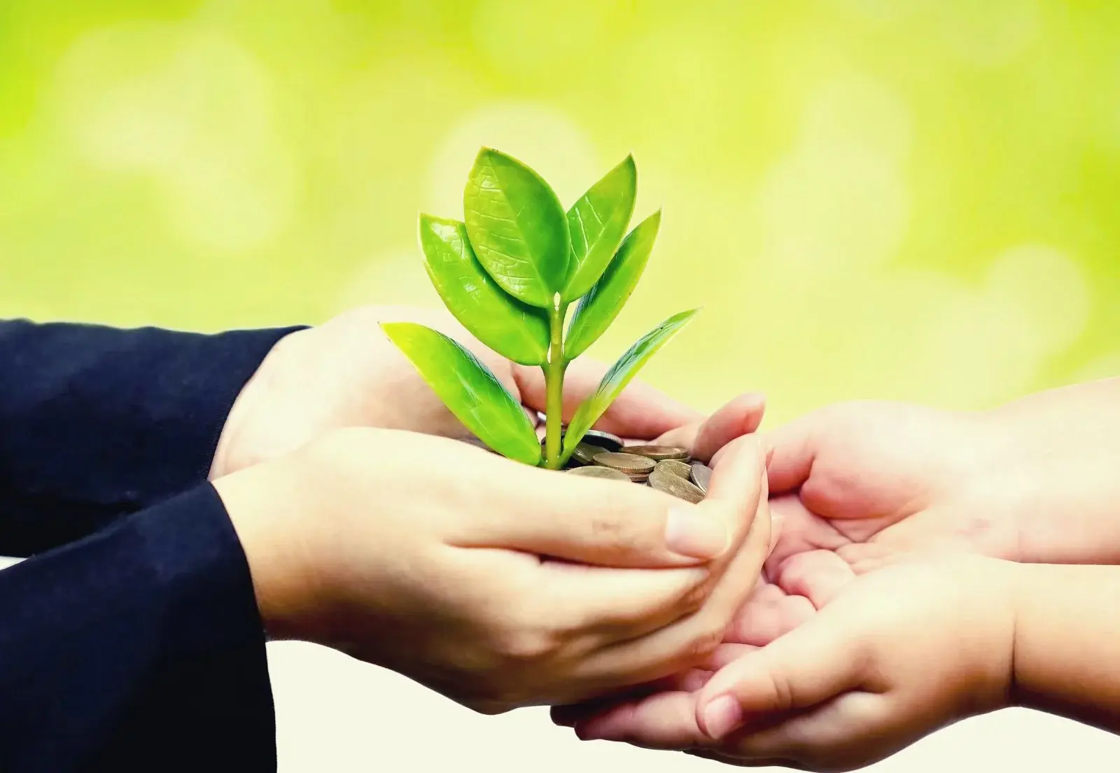 Green Dental Practice in Iowa Holistic Dentistry