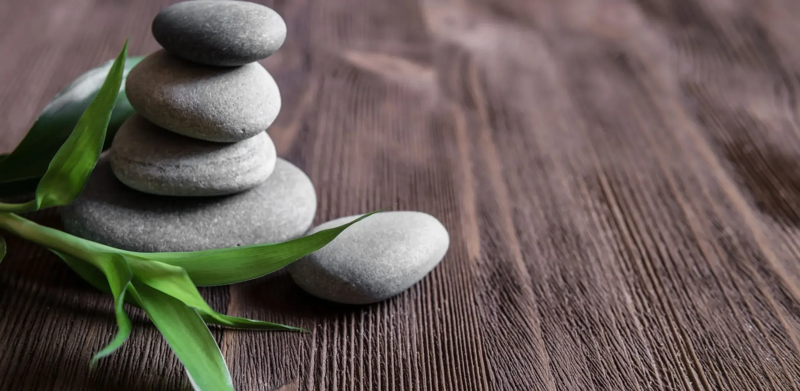 Iowa Holistic Dentistry